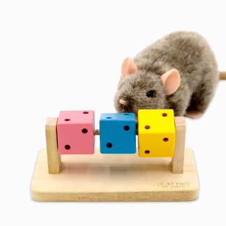 Rodent Block Spinner