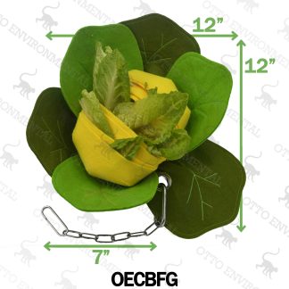 Otto Cabbage Forager